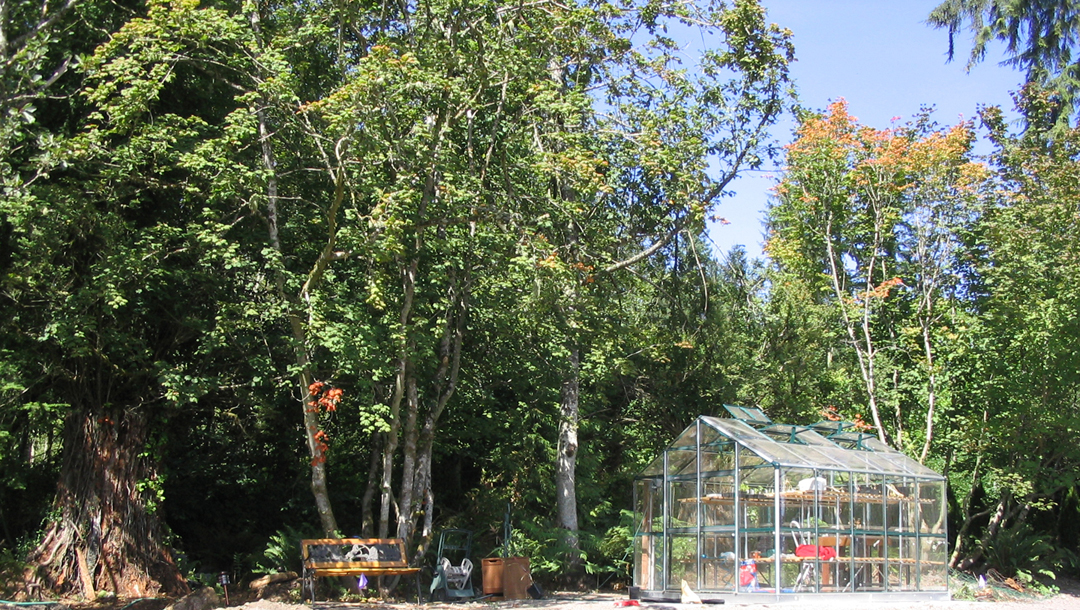 Greenhouse and bench.jpg 888.7K